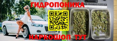 тгк Малгобек