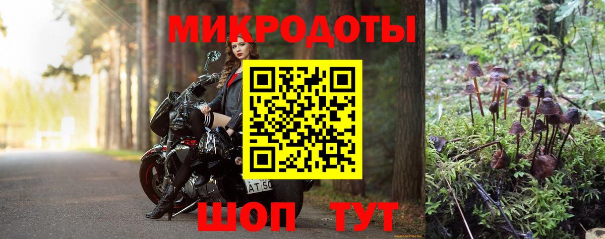 Псилоцибиновые грибы Psilocybine cubensis  Вход с VPN  Волгоград 