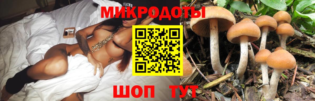 Псилоцибиновые грибы мицелий Волгоград